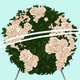 Illustration for article titled Funerals for My Mother, All Around the World